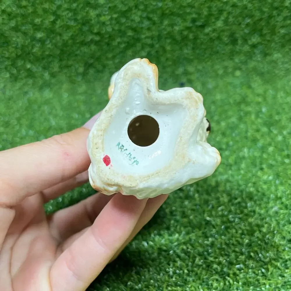Japan discover this